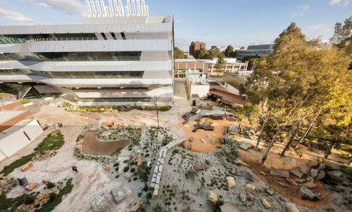 視野 原來校園景觀還可以這樣做