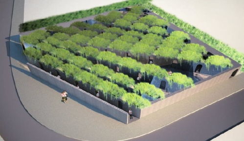 景觀魔法師瑪莎·施瓦茨 打破邊界的造景藝術(shù)